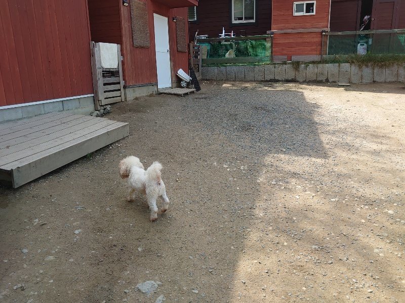 f：id：roukenhome-ann：20200506112754j：plain
