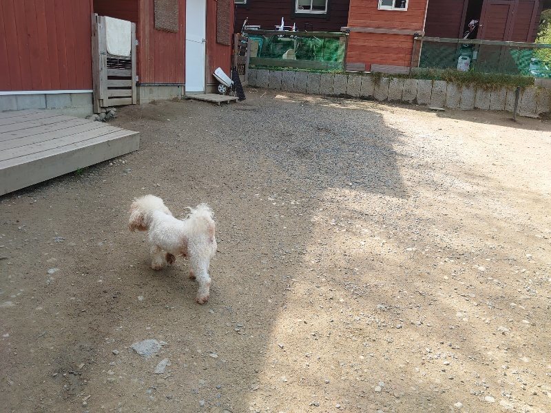 f：id：roukenhome-ann：20200506112800j：plain
