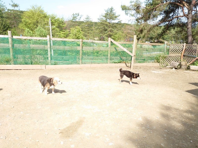 f：id：roukenhome-ann：20200506112812j：plain