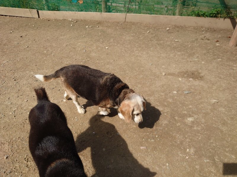 f：id：roukenhome-ann：20200506112935j：plain