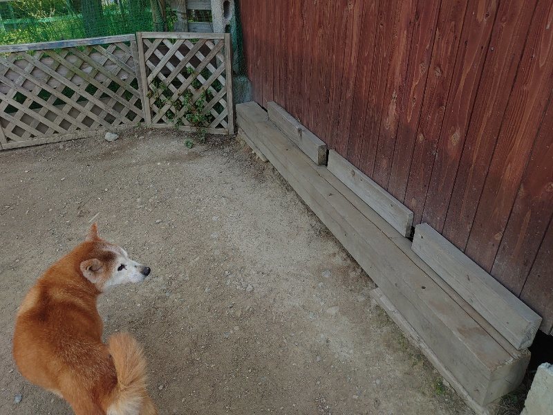 f：id：roukenhome-ann：20200506113045j：plain