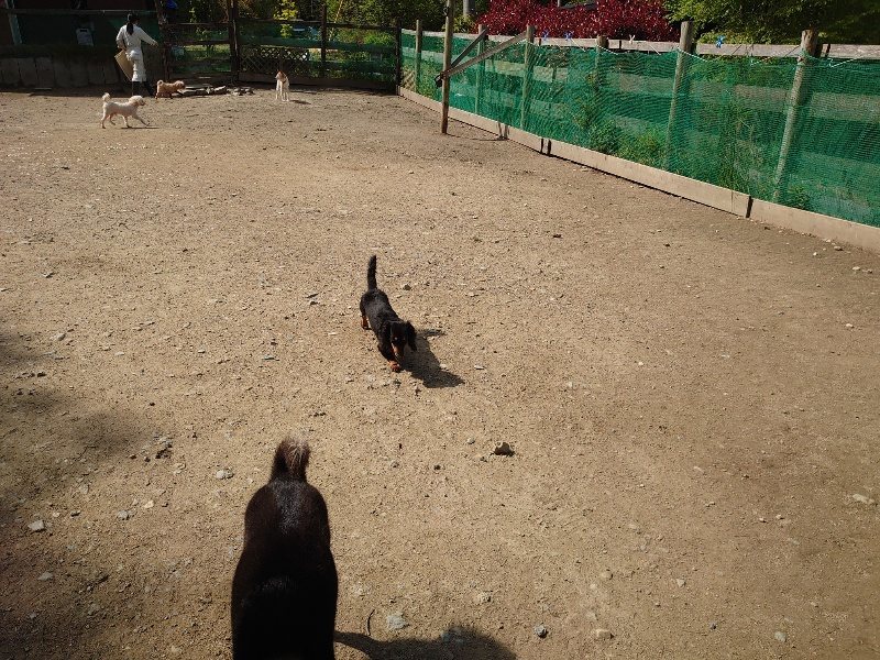 f：id：roukenhome-ann：20200506113145j：plain