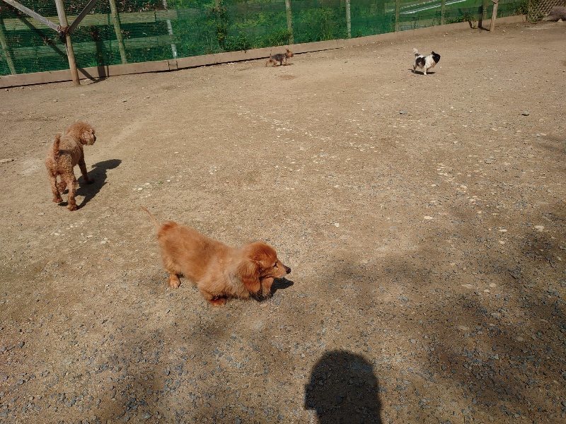 f：id：roukenhome-ann：20200506113528j：plain