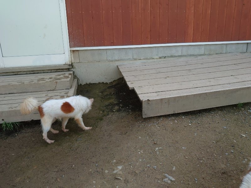f：id：roukenhome-ann：20200506113603j：plain