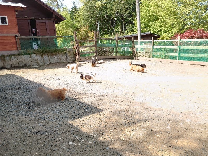 f：id：roukenhome-ann：20200506113746j：plain