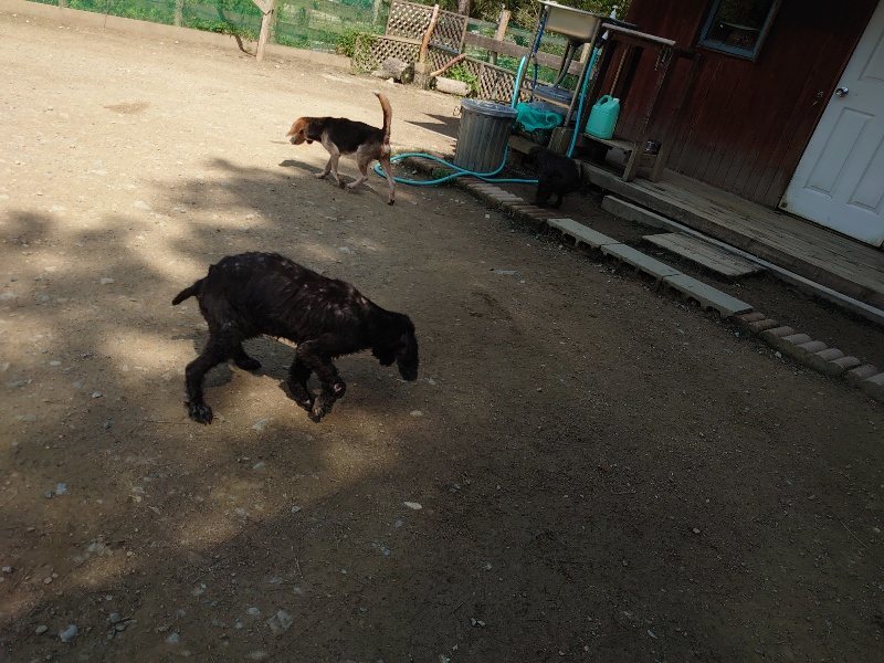 f：id：roukenhome-ann：20200506113752j：plain