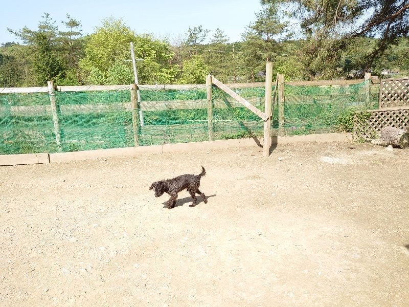 f：id：roukenhome-ann：20200506113826j：plain