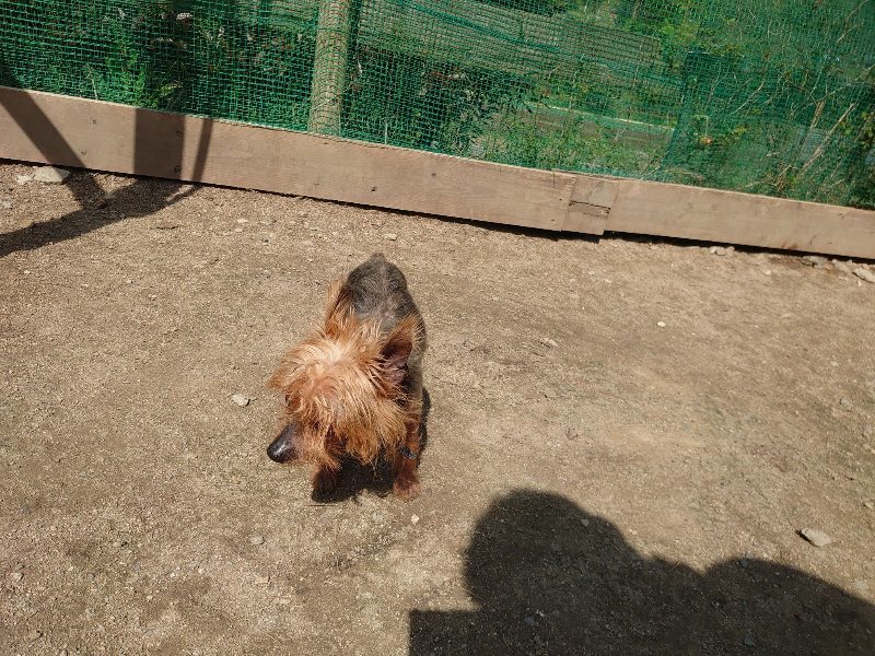 f：id：roukenhome-ann：20200506114017j：plain