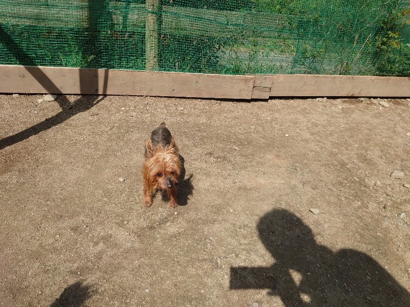 f：id：roukenhome-ann：20200506114040j：plain