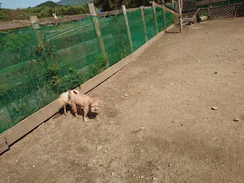 f:id:roukenhome-ann:20200506121849j:plain f:id:roukenhome-ann:20200506121849j:plain
