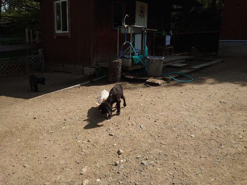 f:id:roukenhome-ann:20200506121924j:plain f:id:roukenhome-ann:20200506121924j:plain