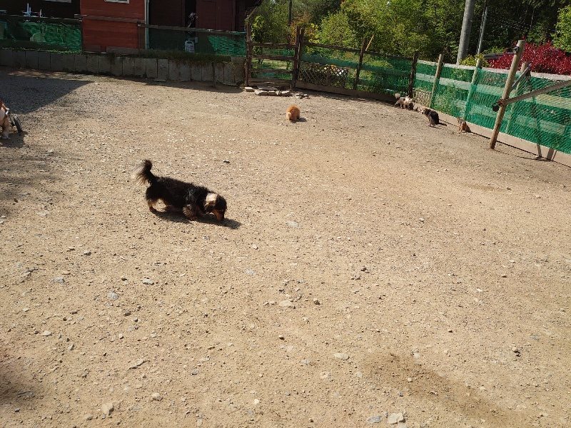 f:id:roukenhome-ann:20200506121941j:plain f:id:roukenhome-ann:20200506121941j:plain