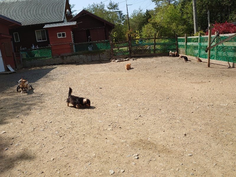 f:id:roukenhome-ann:20200506121947j:plain f:id:roukenhome-ann:20200506121947j:plain