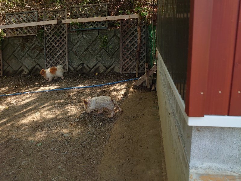 f:id:roukenhome-ann:20200506122004j:plain f:id:roukenhome-ann:20200506122004j:plain