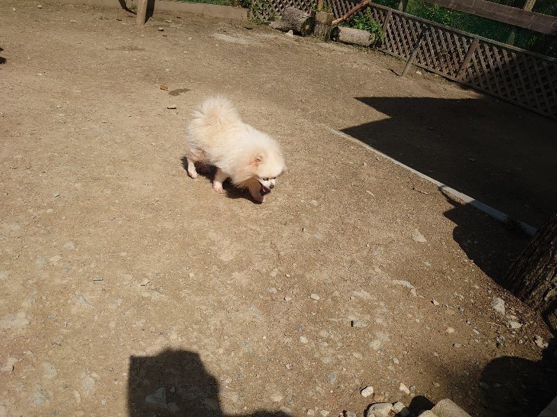 f:id:roukenhome-ann:20200506122301j:plain f:id:roukenhome-ann:20200506122301j:plain