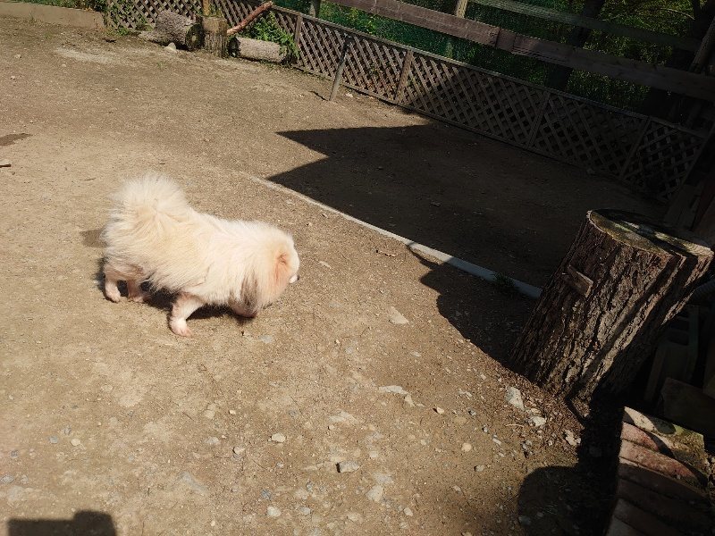 f:id:roukenhome-ann:20200506122307j:plain f:id:roukenhome-ann:20200506122307j:plain