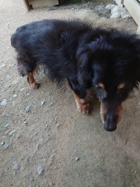 f:id:roukenhome-ann:20200506122646j:plain f:id:roukenhome-ann:20200506122646j:plain