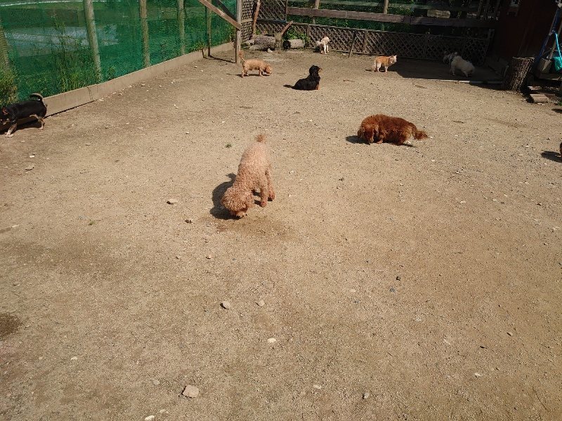 f:id:roukenhome-ann:20200506122740j:plain f:id:roukenhome-ann:20200506122740j:plain