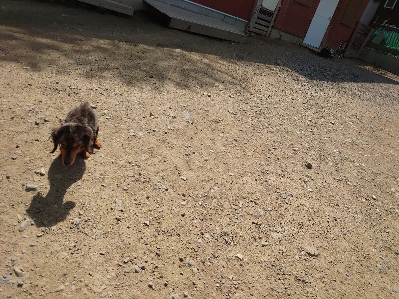 f:id:roukenhome-ann:20200506122909j:plain f:id:roukenhome-ann:20200506122909j:plain
