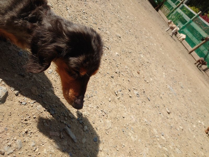f:id:roukenhome-ann:20200506122924j:plain f:id:roukenhome-ann:20200506122924j:plain