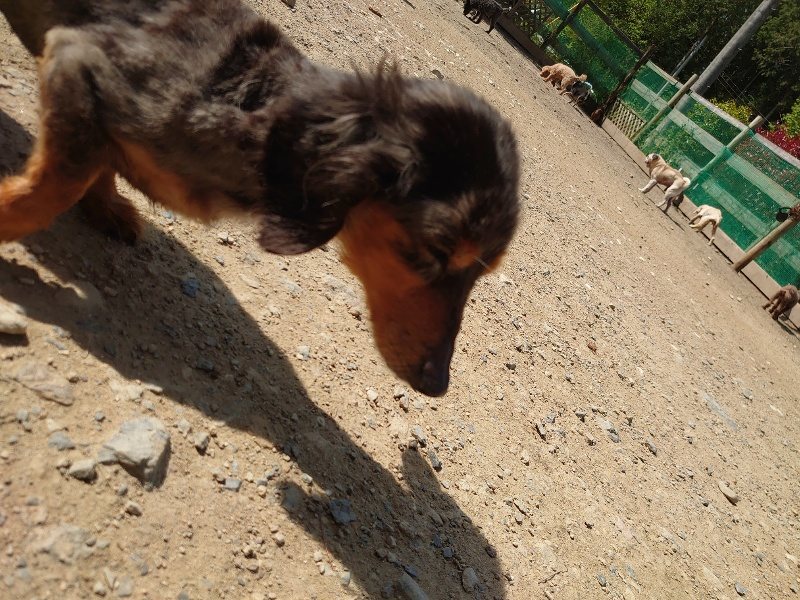 f:id:roukenhome-ann:20200506122929j:plain f:id:roukenhome-ann:20200506122929j:plain