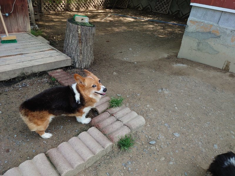 f:id:roukenhome-ann:20200506123003j:plain f:id:roukenhome-ann:20200506123003j:plain