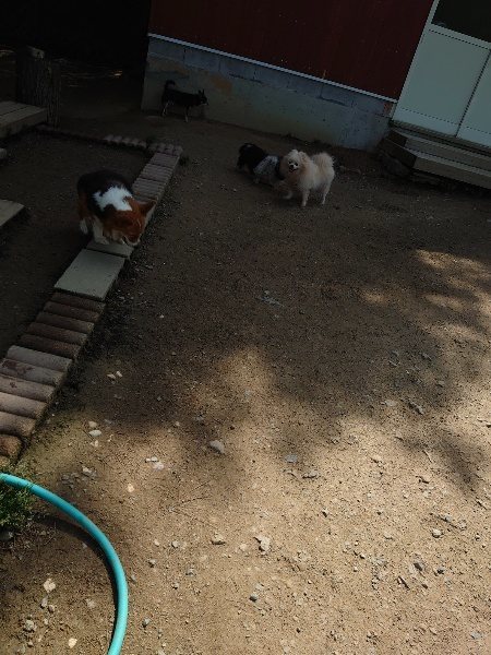 f:id:roukenhome-ann:20200506123314j:plain f:id:roukenhome-ann:20200506123314j:plain