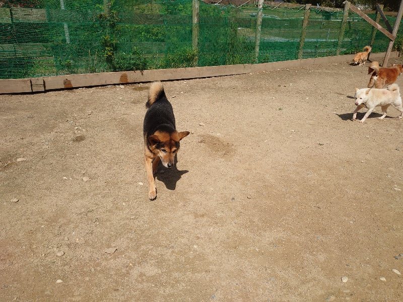 f:id:roukenhome-ann:20200506123530j:plain f:id:roukenhome-ann:20200506123530j:plain
