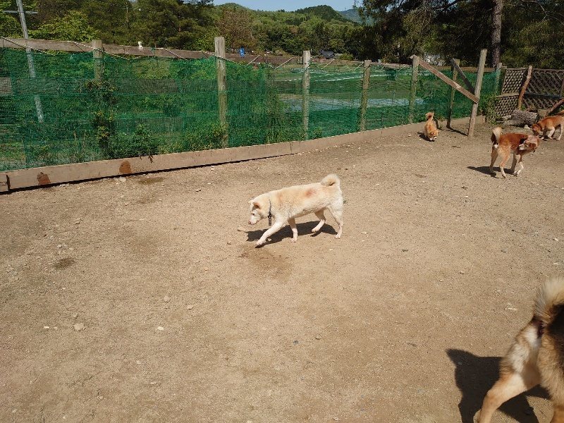 f:id:roukenhome-ann:20200506123542j:plain f:id:roukenhome-ann:20200506123542j:plain