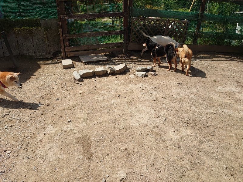 f:id:roukenhome-ann:20200506123607j:plain f:id:roukenhome-ann:20200506123607j:plain