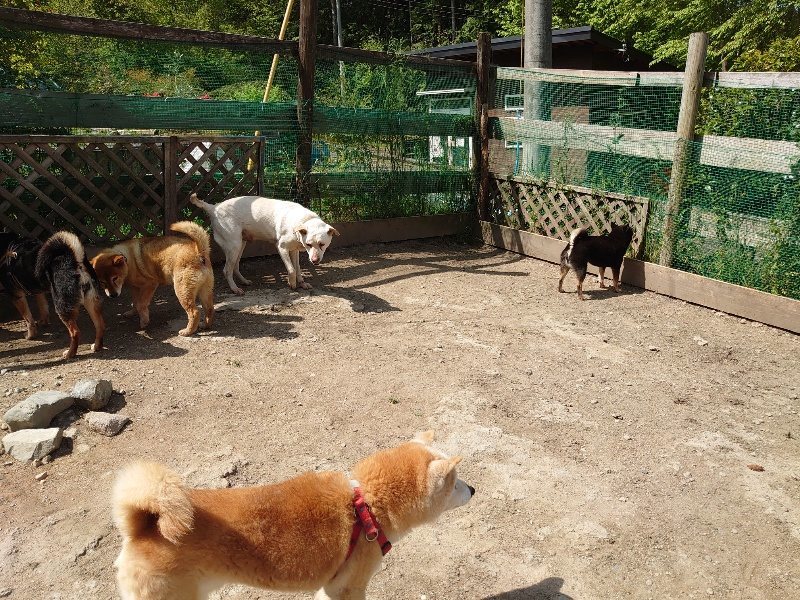 f:id:roukenhome-ann:20200506123625j:plain f:id:roukenhome-ann:20200506123625j:plain