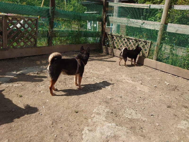 f:id:roukenhome-ann:20200506123719j:plain f:id:roukenhome-ann:20200506123719j:plain