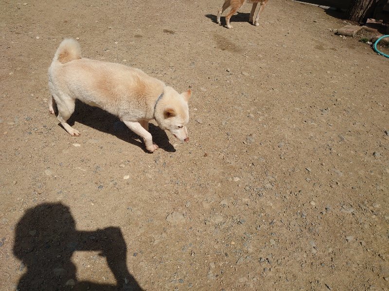 f:id:roukenhome-ann:20200506124000j:plain f:id:roukenhome-ann:20200506124000j:plain