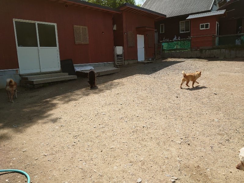 f:id:roukenhome-ann:20200506124339j:plain f:id:roukenhome-ann:20200506124339j:plain