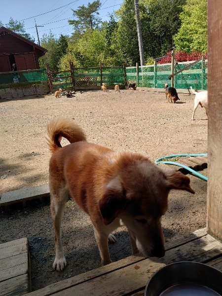 f:id:roukenhome-ann:20200506124349j:plain f:id:roukenhome-ann:20200506124349j:plain