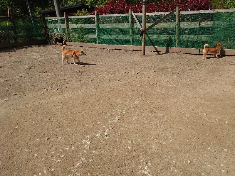 f:id:roukenhome-ann:20200506124550j:plain f:id:roukenhome-ann:20200506124550j:plain