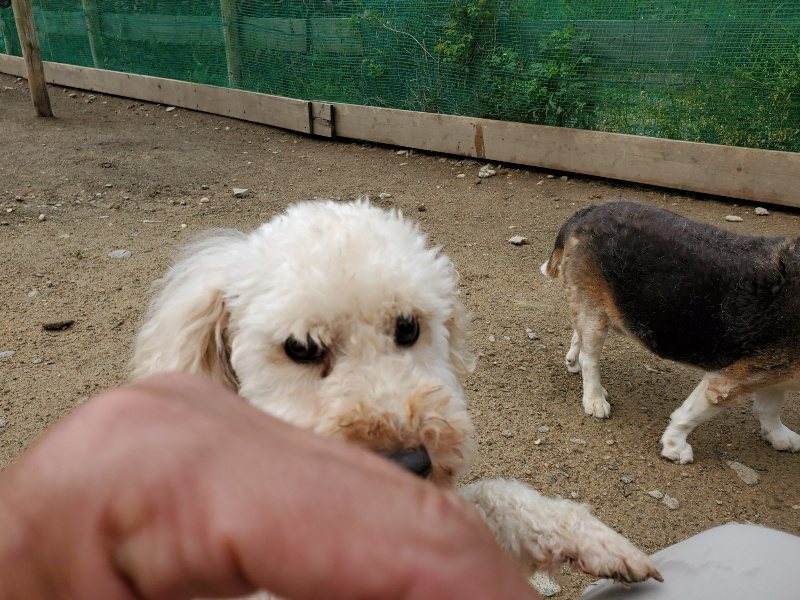 f：id：roukenhome-ann：20200507083008j：plain
