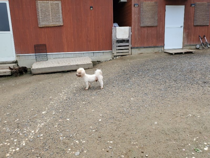 f：id：roukenhome-ann：20200507083736j：plain