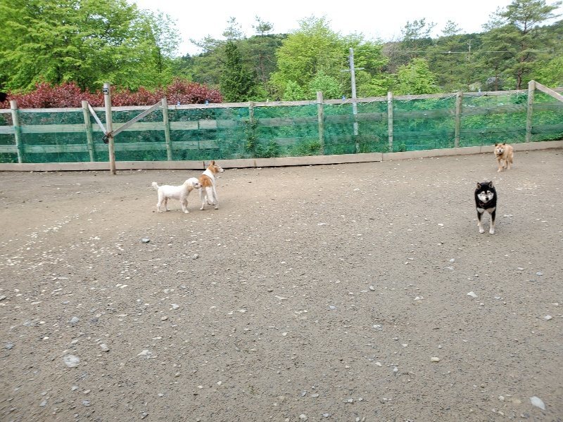 f：id：roukenhome-ann：20200507084003j：plain