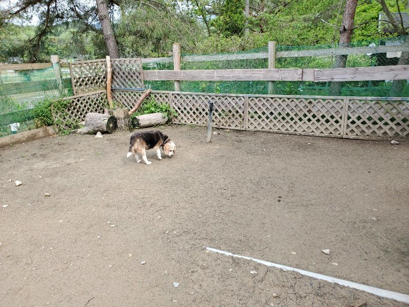 f：id：roukenhome-ann：20200507084048j：plain