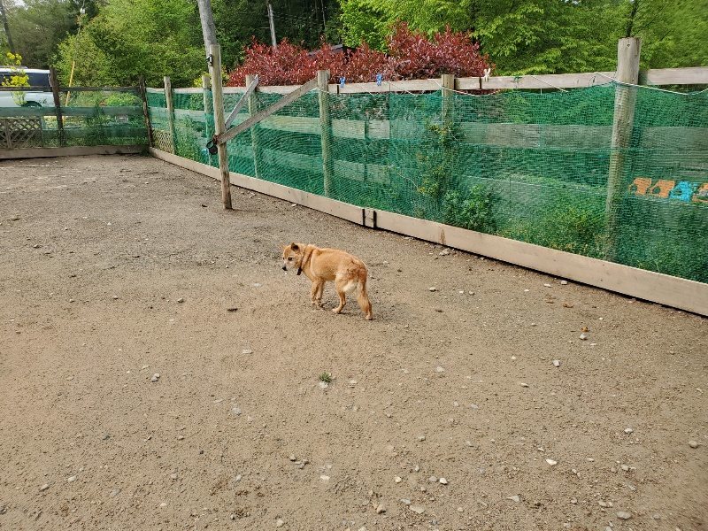 f：id：roukenhome-ann：20200507084110j：plain