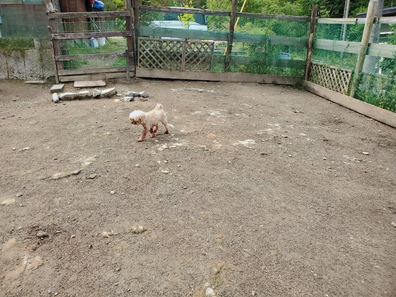 f：id：roukenhome-ann：20200507084151j：plain