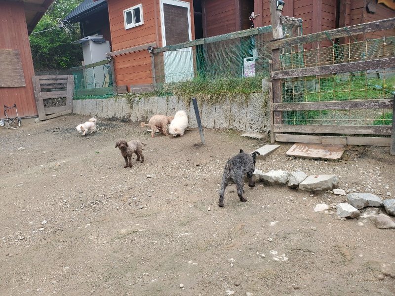 f：id：roukenhome-ann：20200507091331j：plain
