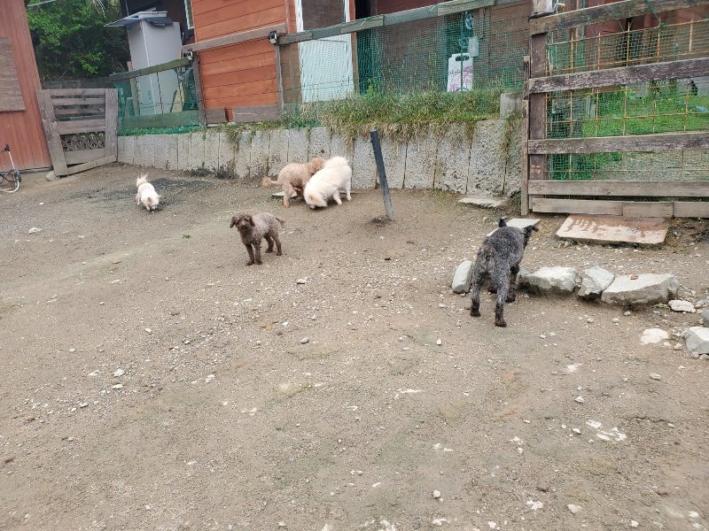 f：id：roukenhome-ann：20200507091336j：plain