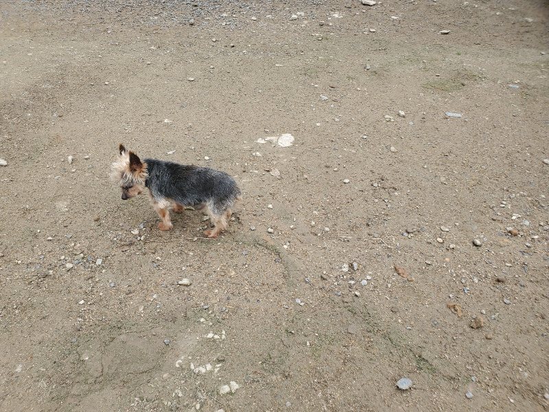 f：id：roukenhome-ann：20200507091349j：plain