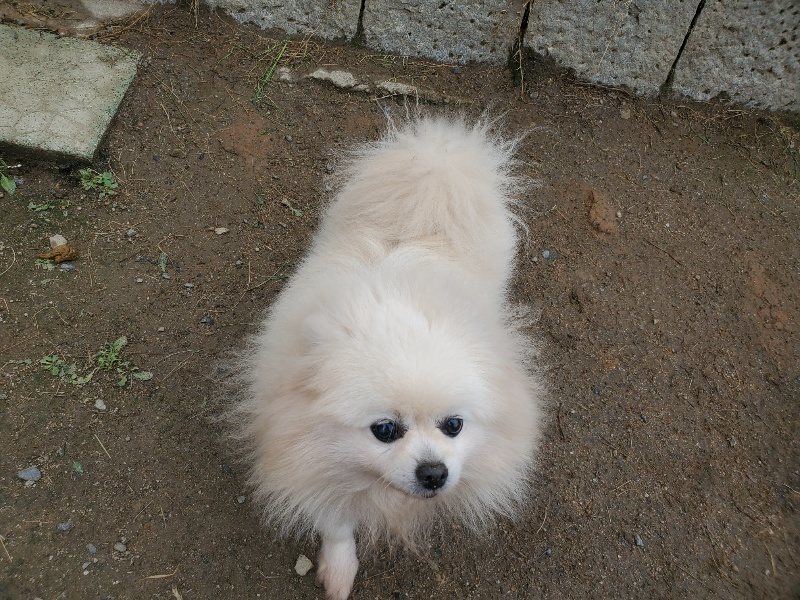 f：id：roukenhome-ann：20200507091454j：plain