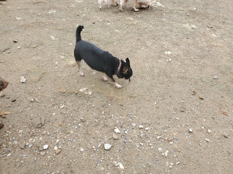 f：id：roukenhome-ann：20200507091539j：plain