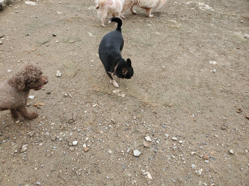 f：id：roukenhome-ann：20200507091546j：plain