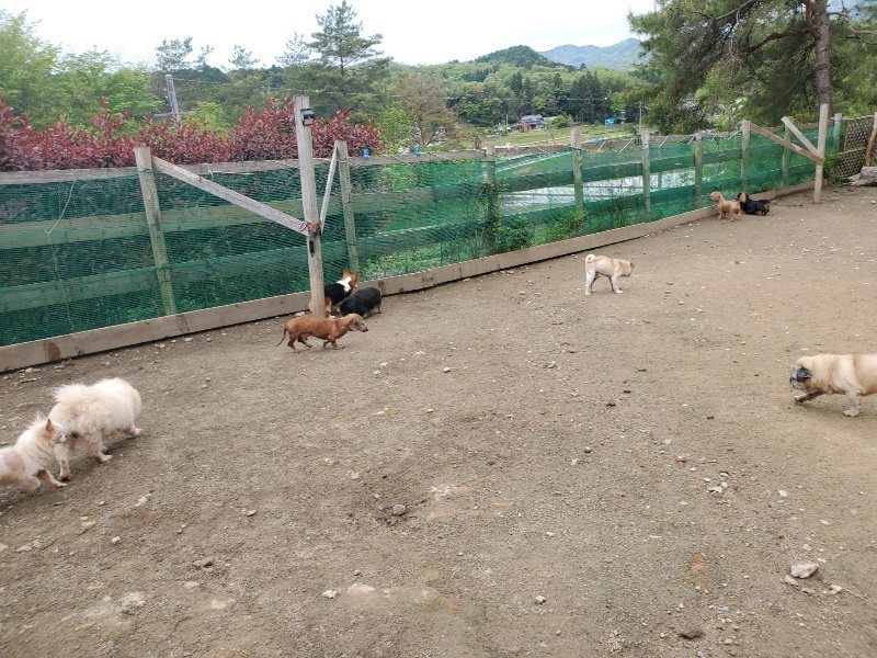f：id：roukenhome-ann：20200507091601j：plain