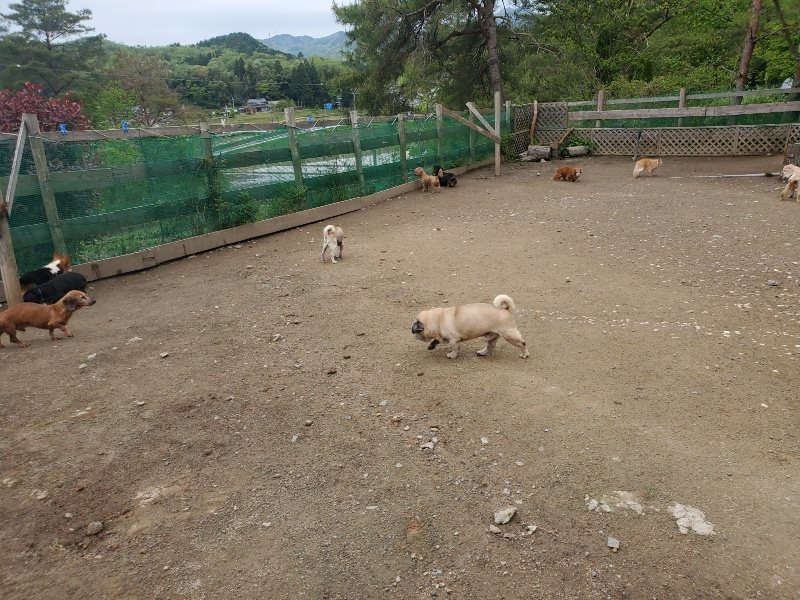 f：id：roukenhome-ann：20200507091606j：plain